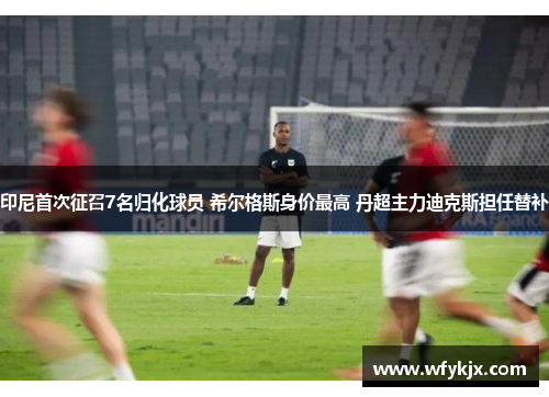 印尼首次征召7名归化球员 希尔格斯身价最高 丹超主力迪克斯担任替补 印尼首次征召7名归化球员 希尔格斯身价最高 丹超主力迪克斯担任替补