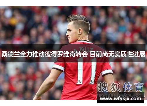 桑德兰全力推动彼得罗维奇转会 目前尚无实质性进展 桑德兰全力推动彼得罗维奇转会 目前尚无实质性进展