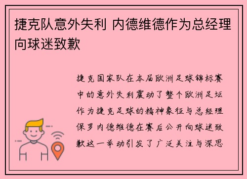 捷克队意外失利 内德维德作为总经理向球迷致歉 捷克队意外失利 内德维德作为总经理向球迷致歉