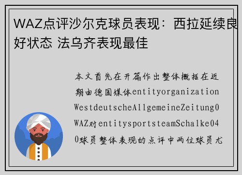 WAZ点评沙尔克球员表现:西拉延续良好状态 法乌齐表现最佳 WAZ点评沙尔克球员表现:西拉延续良好状态 法乌齐表现最佳